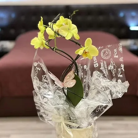 Hotel Petrus Paracin